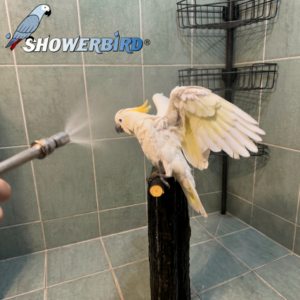 Showerbird  💦<br>Natural Rainfall Bathing For Companion Birds